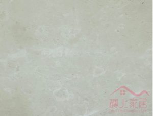 雲石白玉蘭